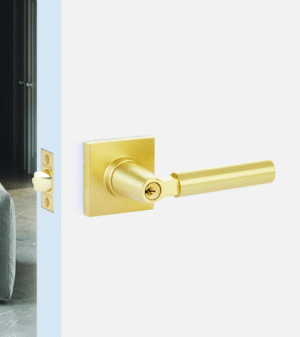 modern disc deadbolt satin nickel